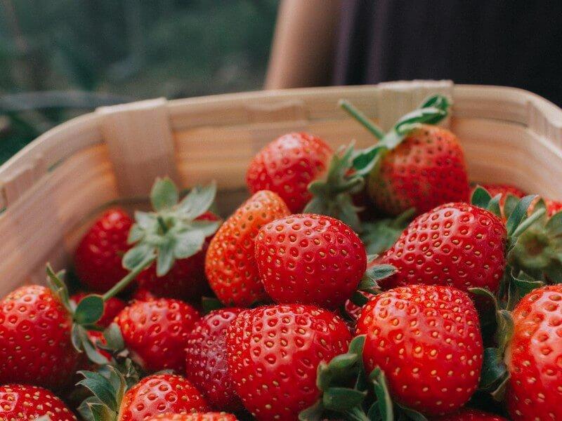 Article | Consommer des fruits de saison