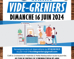 2024 06 16 vide grenier a schwindratzheim