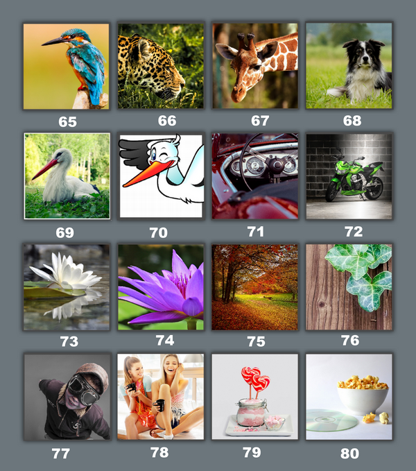 5 images des annonceurs