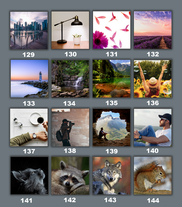 9 images des annonceurs