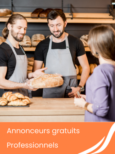 Annonceurs gratuits professionnels secteur brumath